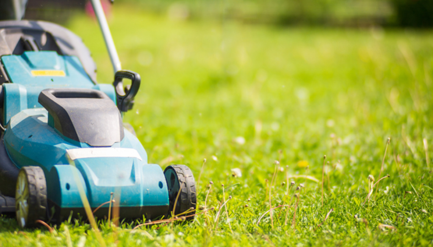 Pourquoi déléguer la création de son jardin à un paysagiste ?
